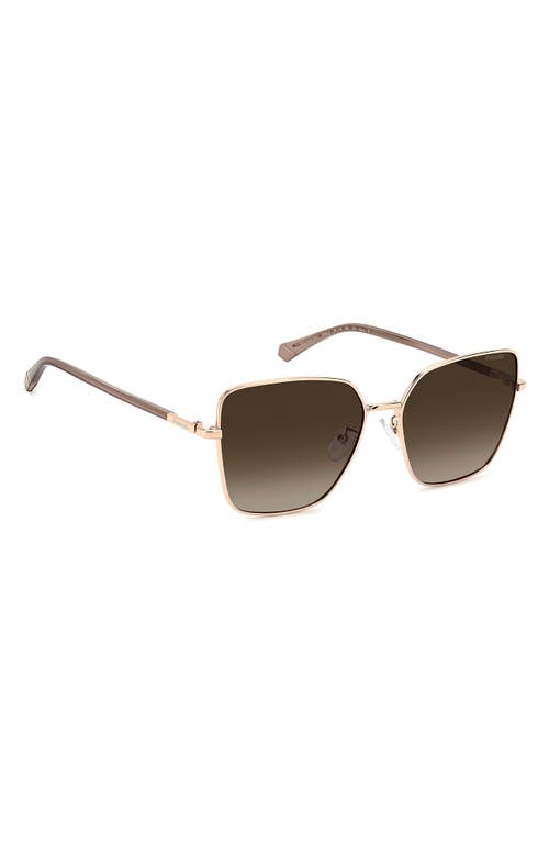 Polaroid 59mm Polarized Butterfly Sunglasses In Gold