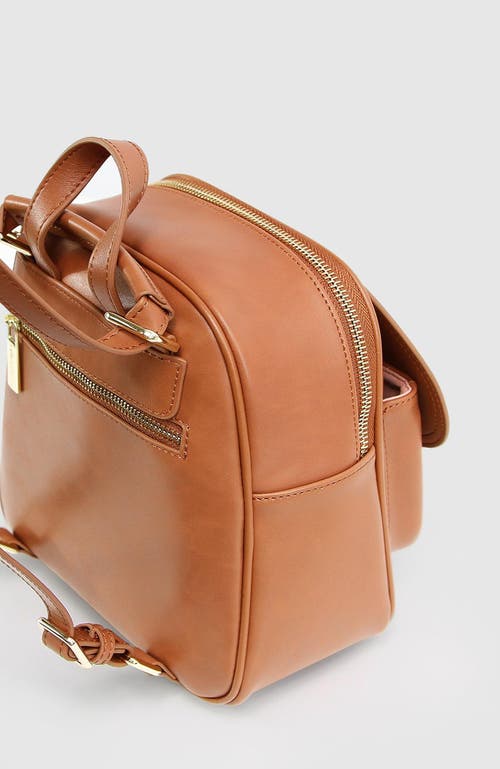 Belle & Bloom Camila Leather Backpack In Brown