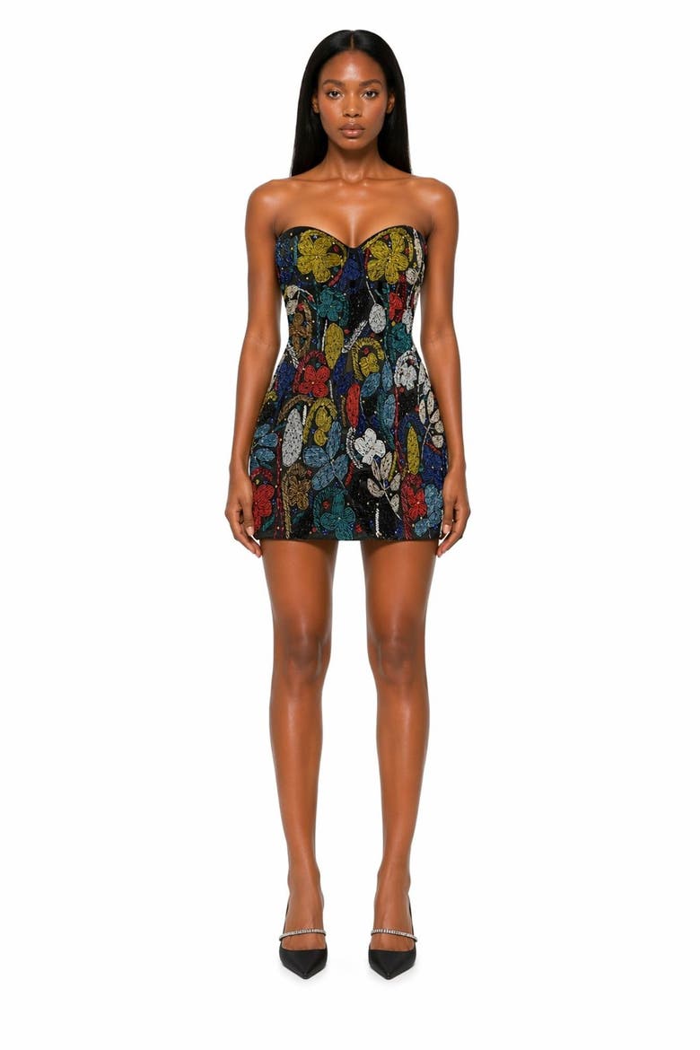 Embroidered Corset Mini Amber Dancing Collection, Main, color, Tropical Colors