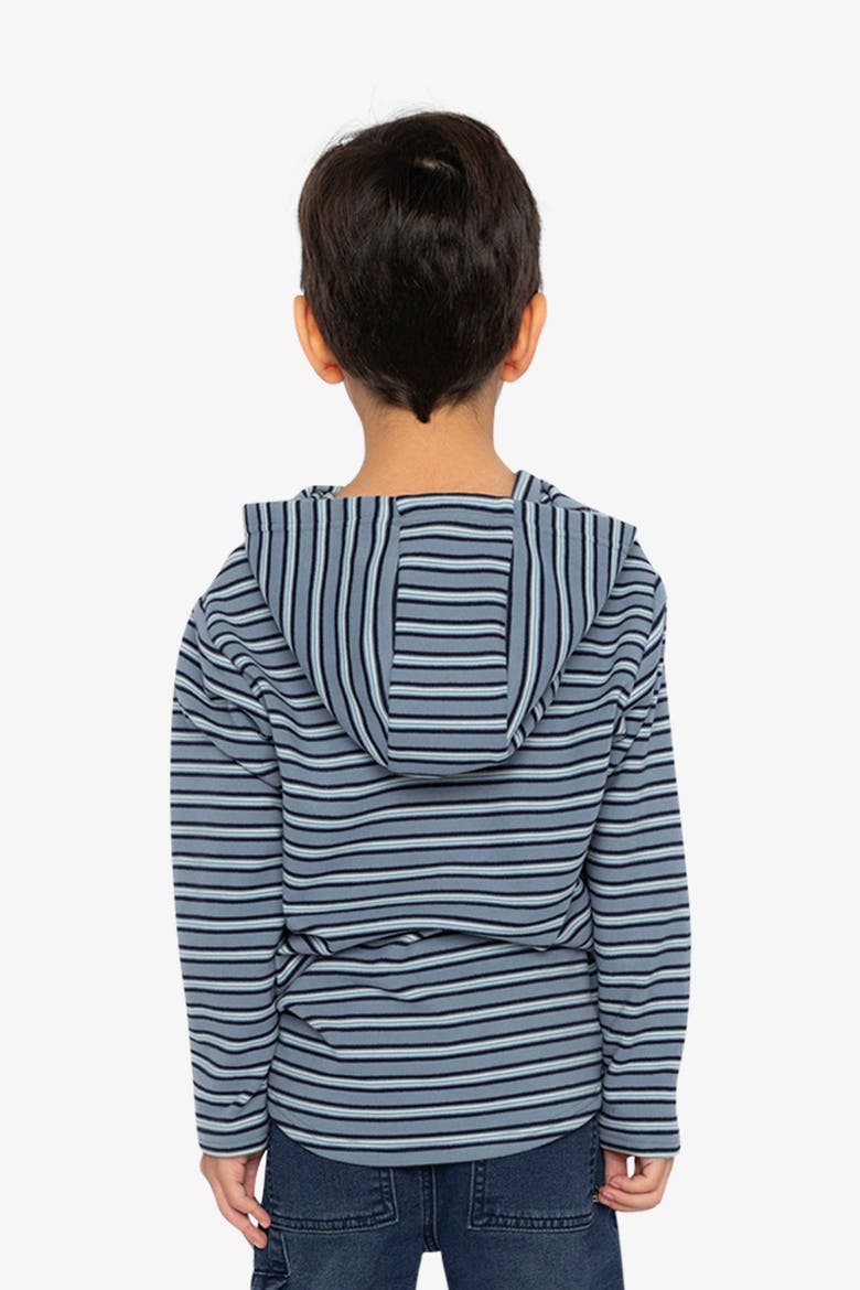 Striped Brushed Jersey Hooded Long Sleeve T-Shirt, Alternate, color, Blue Striped White