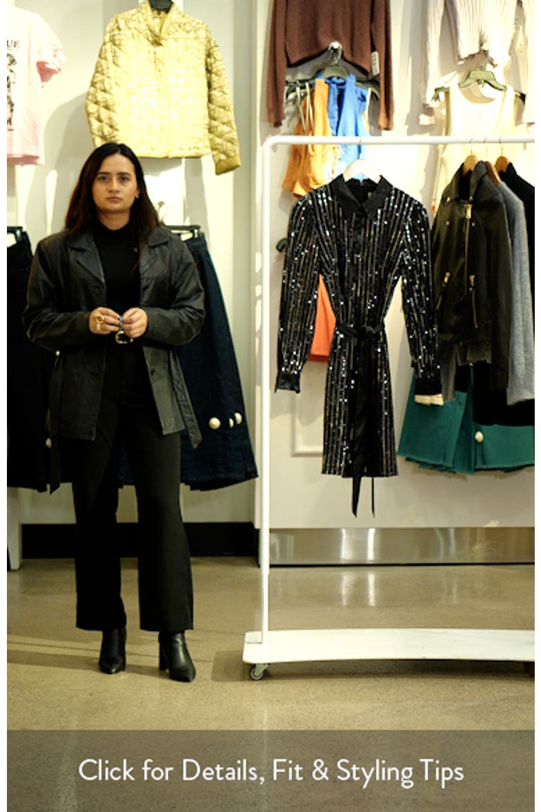 Sequin Stripe Long Sleeve Belted Shirtdress video