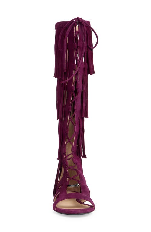 Longchamp Ghillie Lace-up Fringe Sandal In Violet