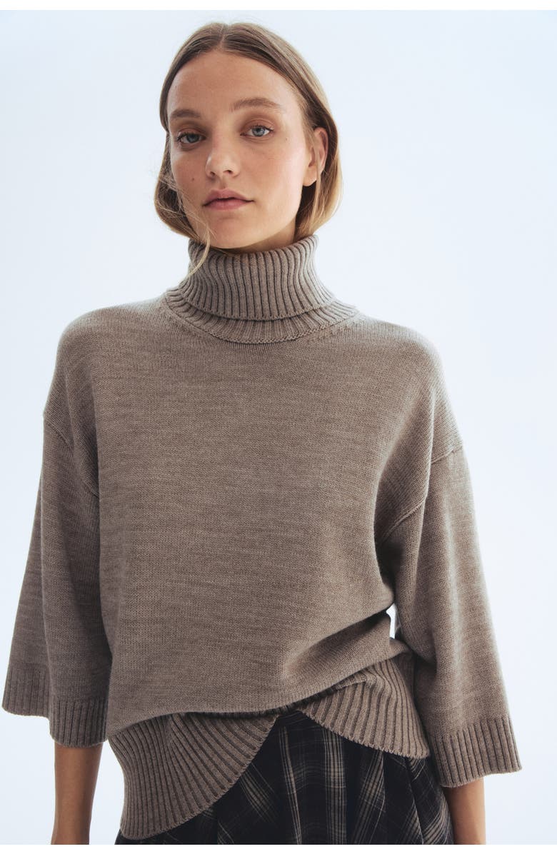 H&M Fine-knit Polo-neck Jumper, Alternate, color, Taupe