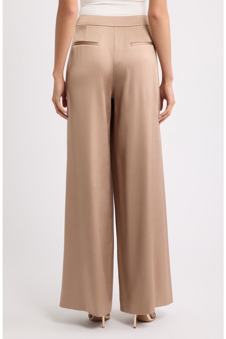 Phoenix Wide Leg Pants, Alternate, color, TOFFEE