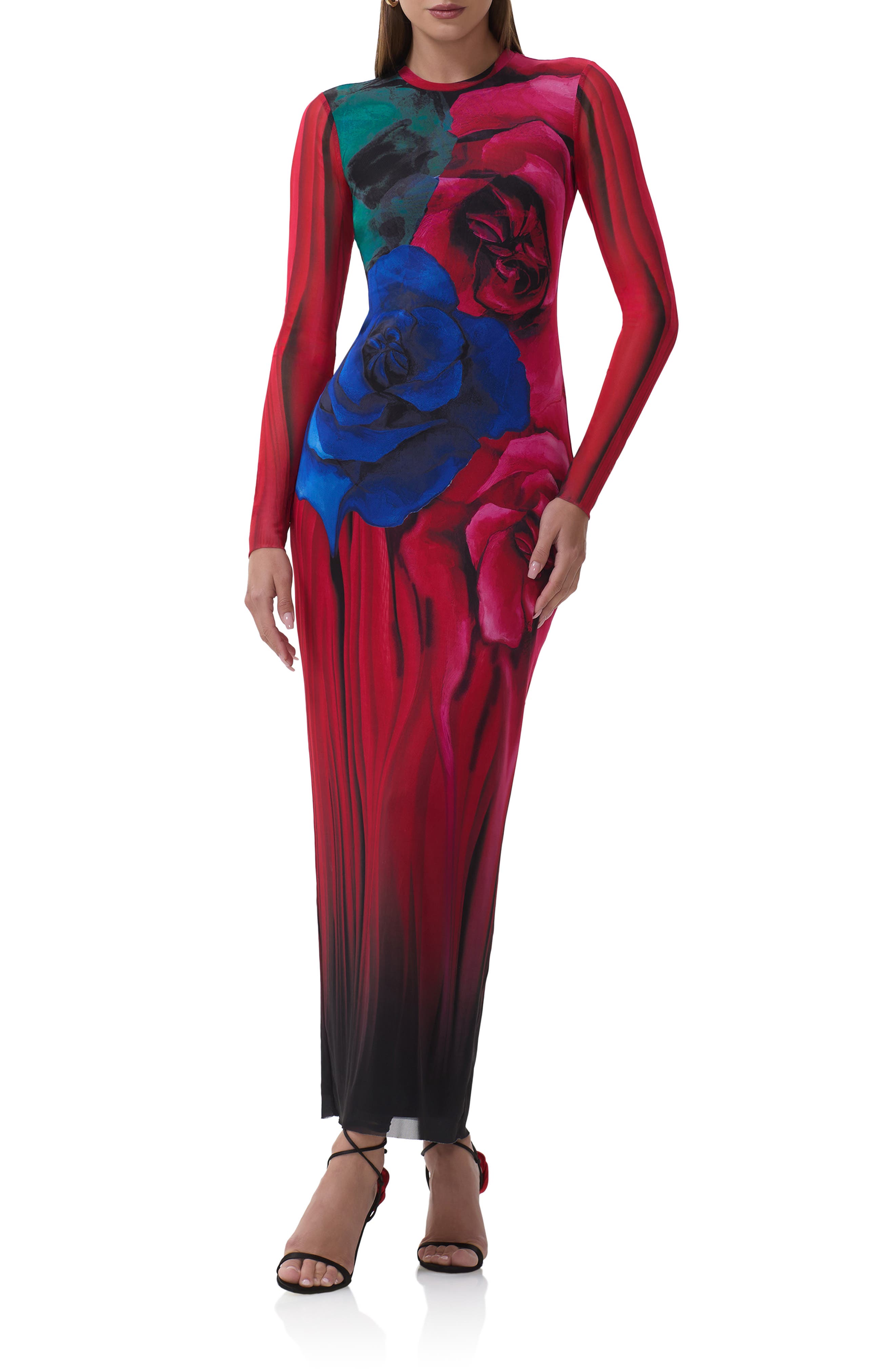 Didi Printed Long Sleeve Mesh Maxi Dress - image 3