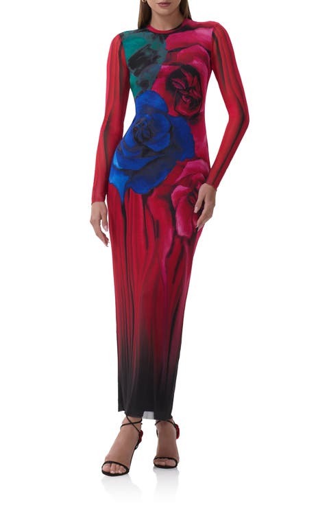 Didi Printed Long Sleeve Mesh Maxi Dress