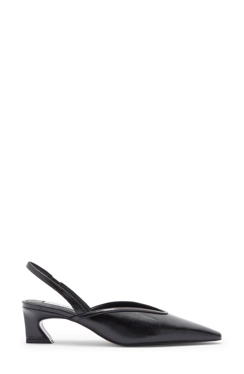 Steve Madden Haleigh Slingback Pump In Black