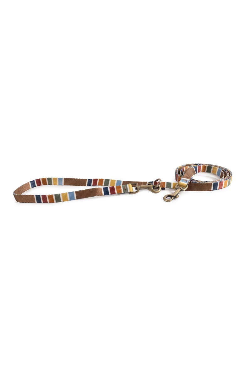 National Park Adventure Leash, Alternate, color, JOSHUA TREE