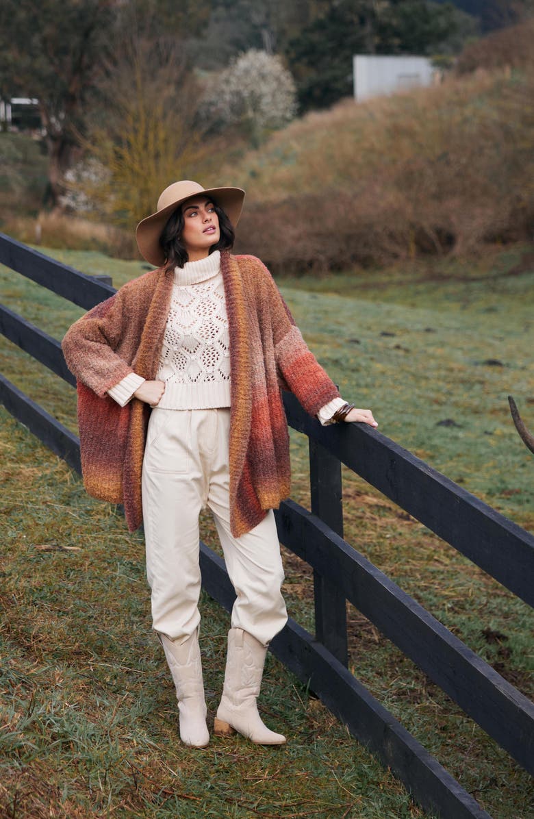 Talisman the Label Amara Open Front Cardigan, Alternate, color, 