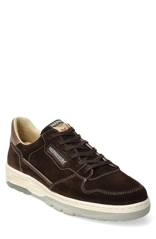 Mephisto Marius Suede Sneaker in Dark Brown 