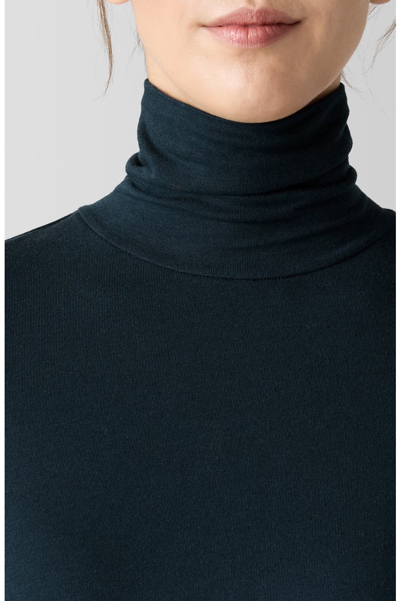 Turtleneck Top, Alternate, color, DPADR