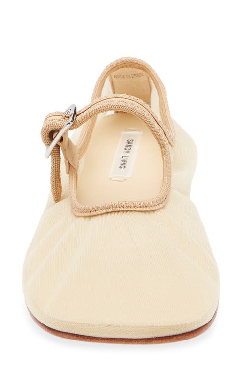 Sandy Liang Mesh Mary Jane Flat