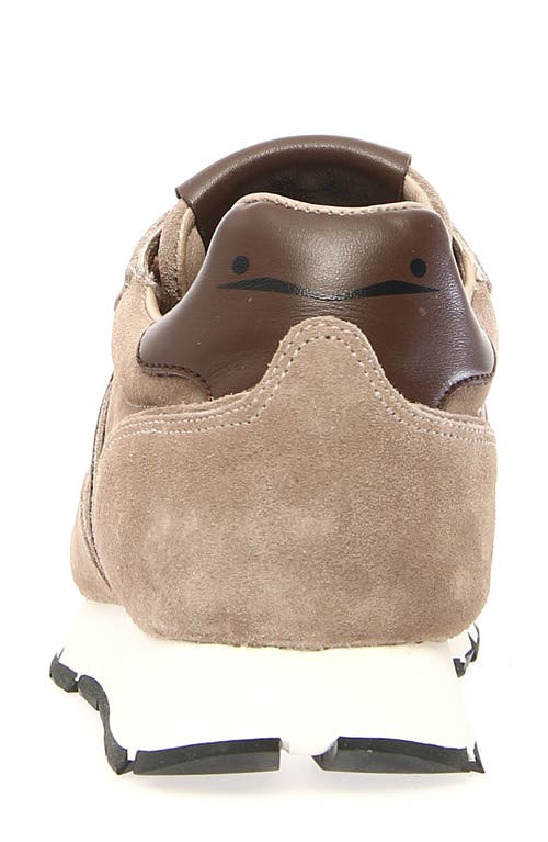 Voile Blanche Julia Sneaker In Brown