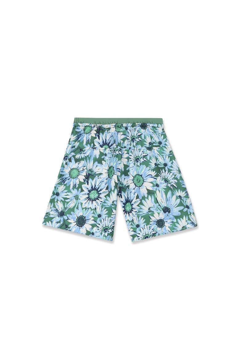 Printed Bermuda Shorts, Alternate, color, Jade