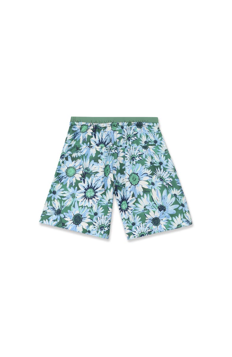 Lanvin Printed Bermuda Shorts, Alternate, color, Jade