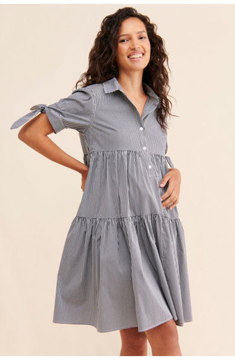 Emilia George Babette Dress, Main, color, Gingham