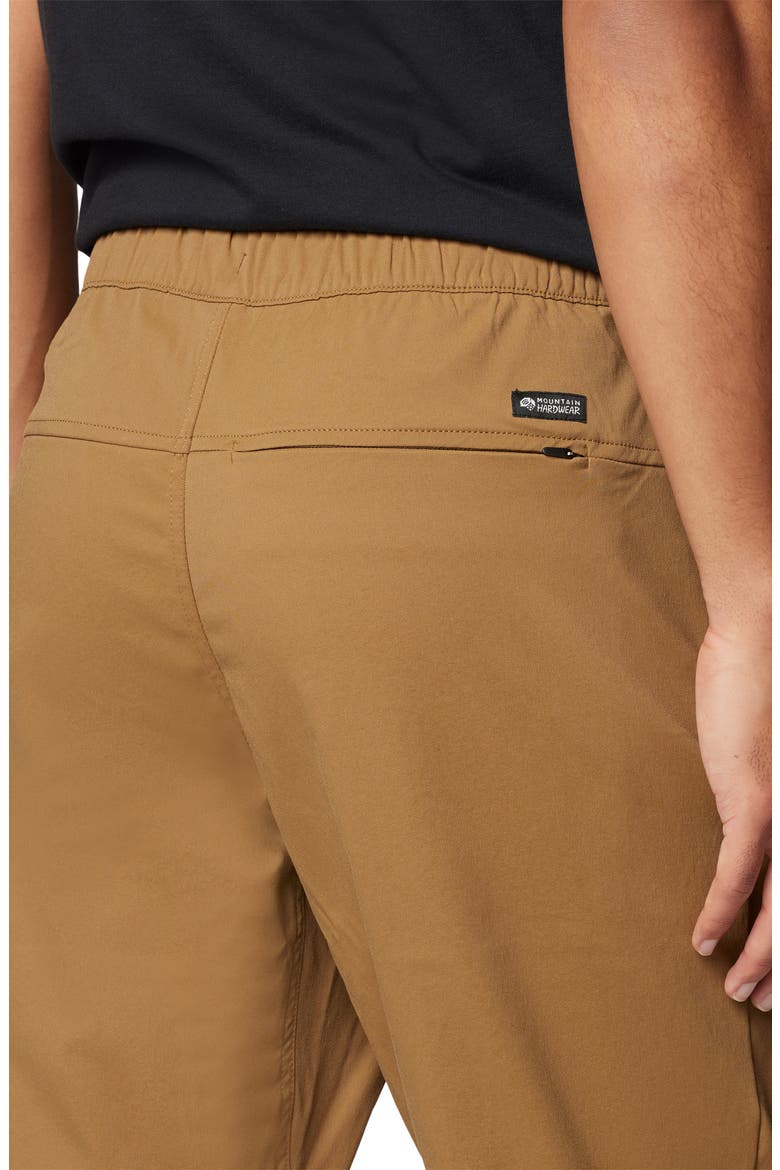 Hardwear All Purpose Active Pants, Alternate, color, COROZO NUT