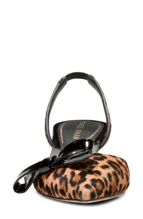 Cole Haan Noella Bow Slingback Pointed Toe Kitten Heel Pump In Leopard Print Haircalf