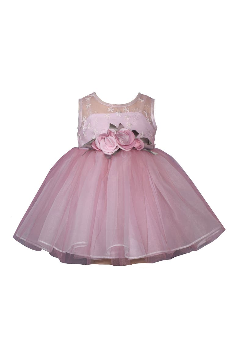 Embroidered Party Dress & Bloomers, Main, color, ROSE