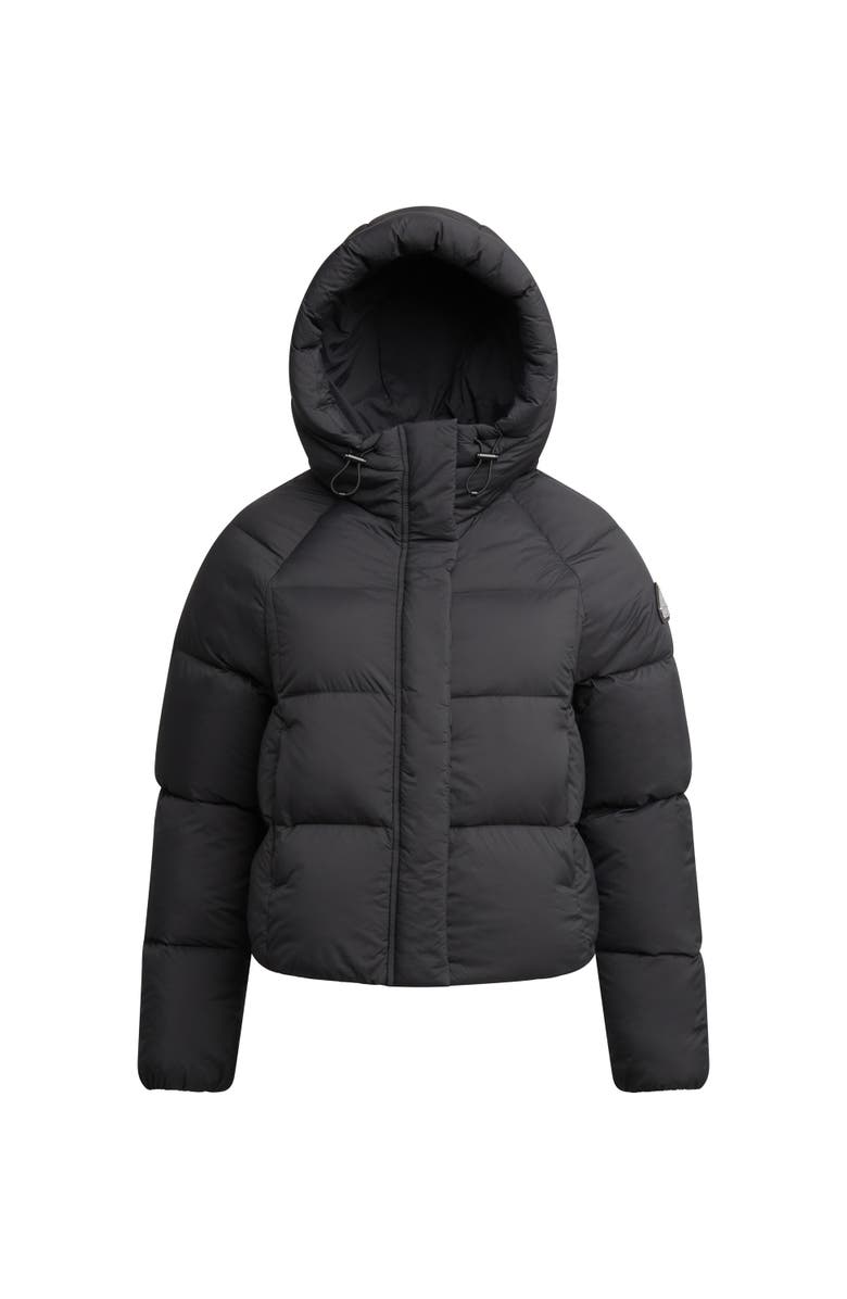 JACK1T Cloud Cropped Hooded Puffer Jacket, Alternate, color, Black/Stone