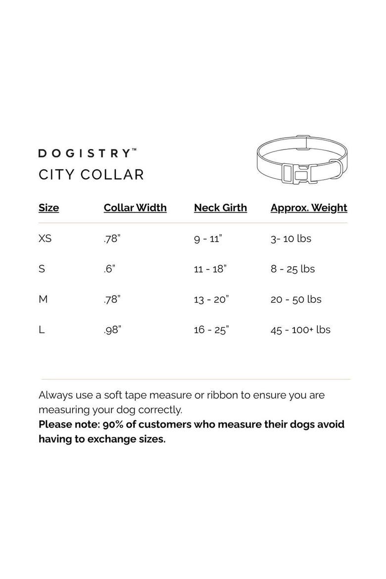 City Collar, Alternate, color, Rockstar