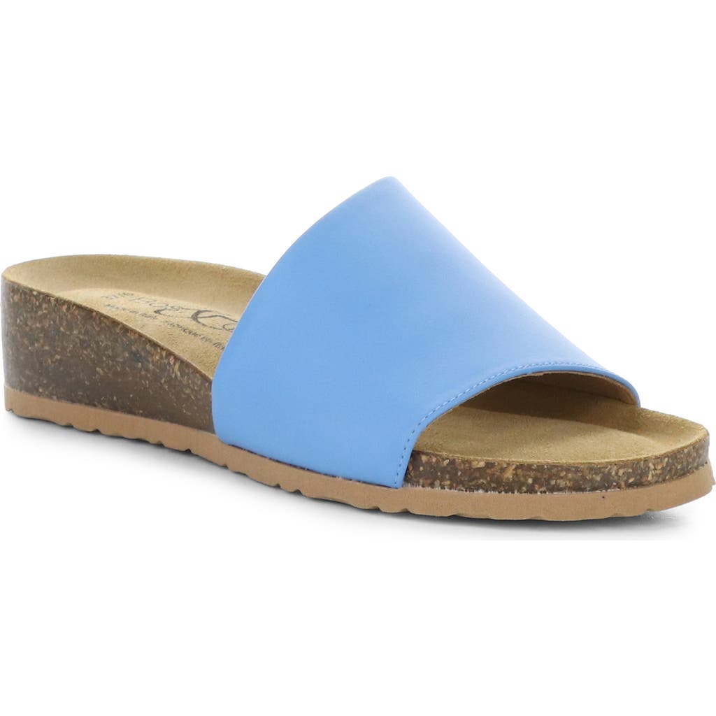 Bos. & Co. Lux Slide Sandal In French Blue
