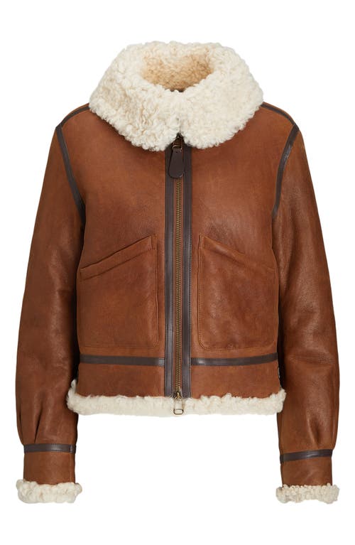 Polo Ralph Lauren Genuine Shearling Trim Leather Aviator Jacket In Multi