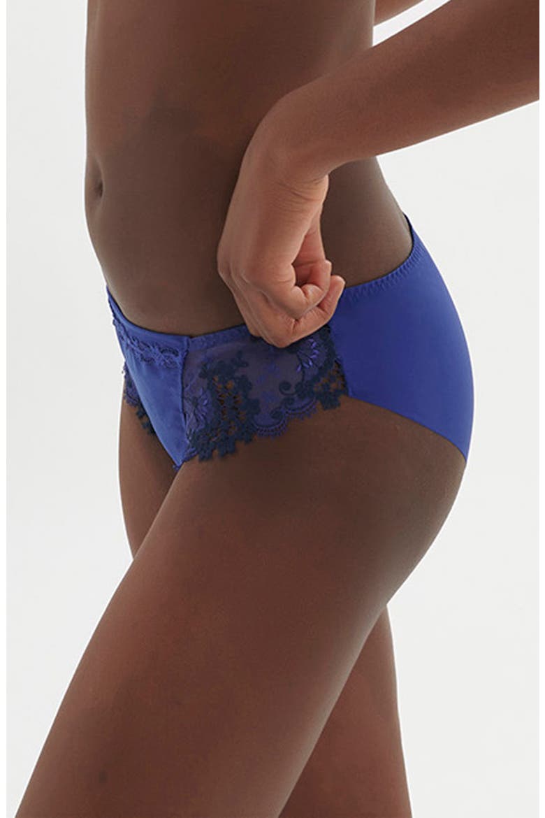 Wish Embroidered Lace Trim Bikini Briefs, Alternate, color, ELECTRIC BLUE