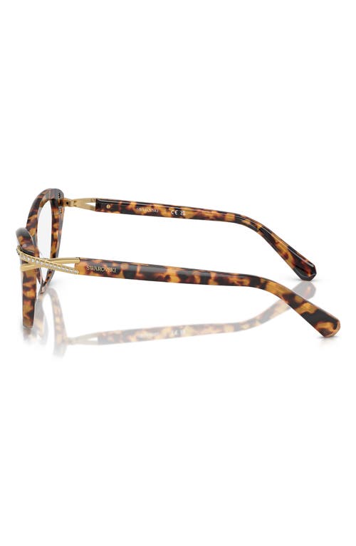 Swarovski 55mm Cat Eye Optical Glasses In Lite Havana