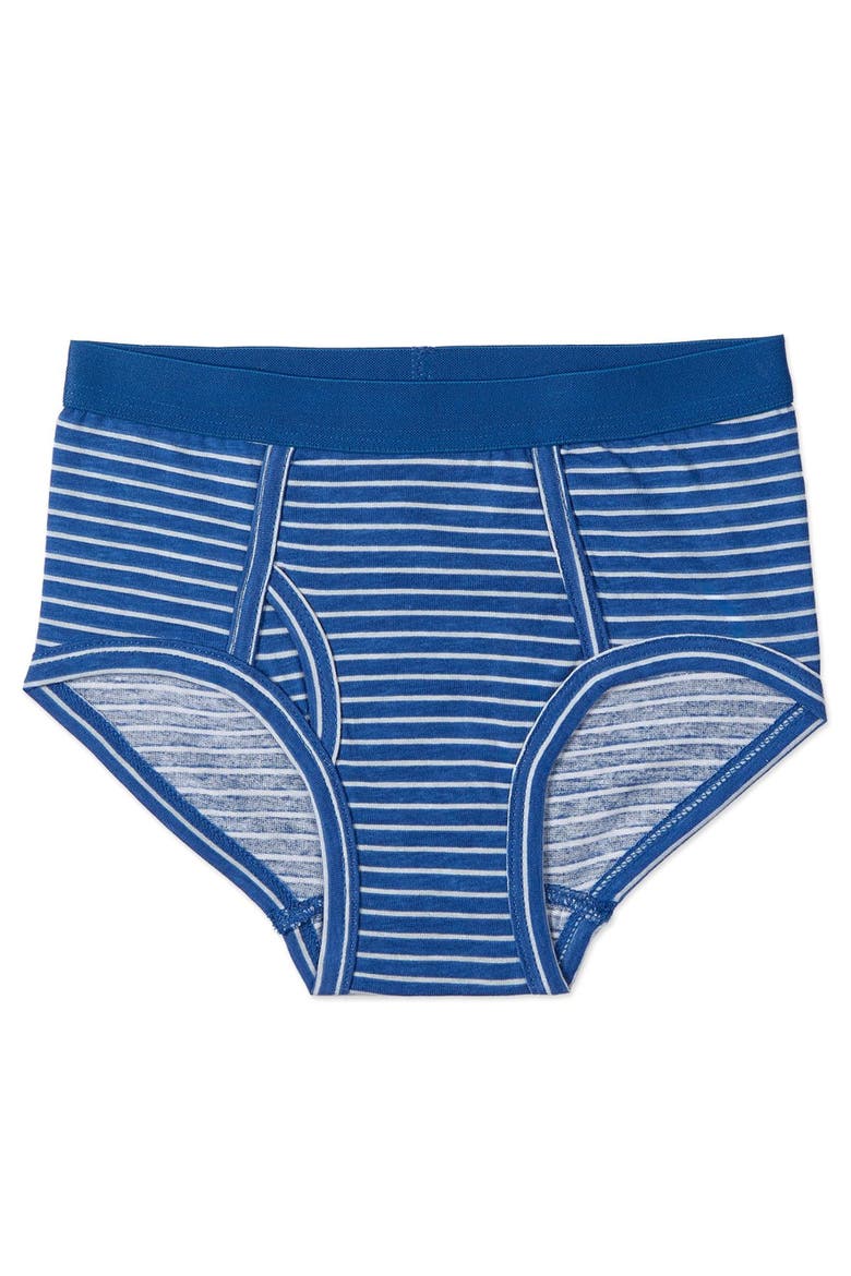 5 Pair Out Of The Blue Rich Briefs, Alternate, color, Blue Multi