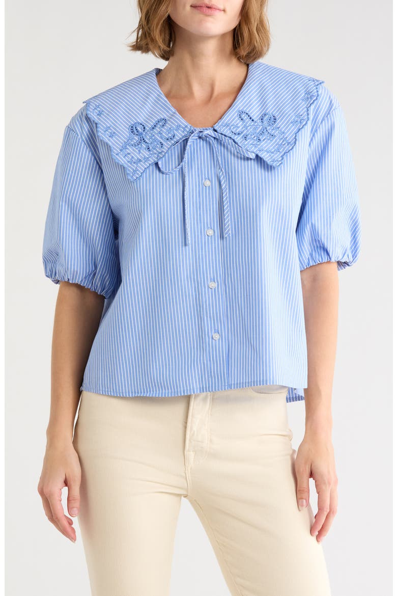Embroidered Striped Shirt, Main, color, BLUE WITH WHITE STRIPES