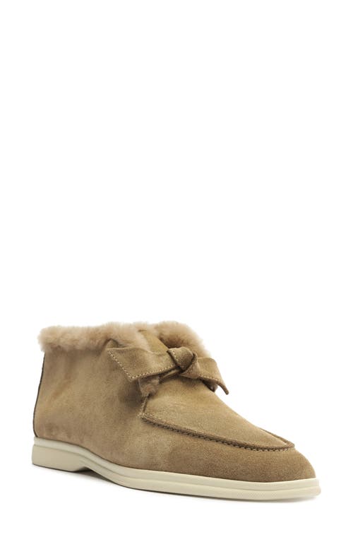Alexandre Birman Clarita Genuine Shearling Lined Bootie In Neutral