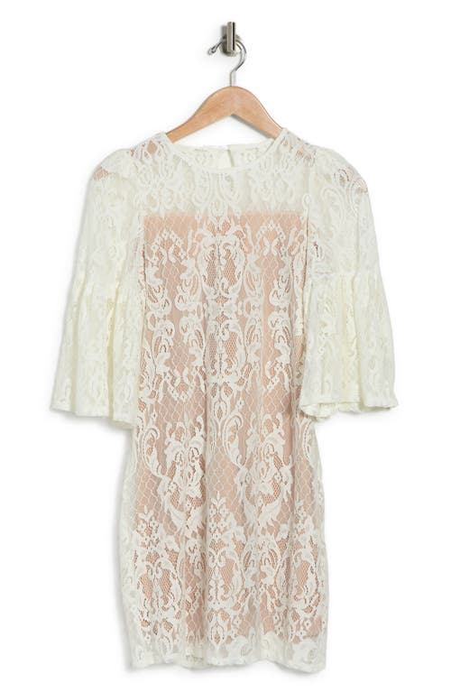 Tash And Sophie Quarter Wide Sleeve Lace Dress In Ivory/nude
