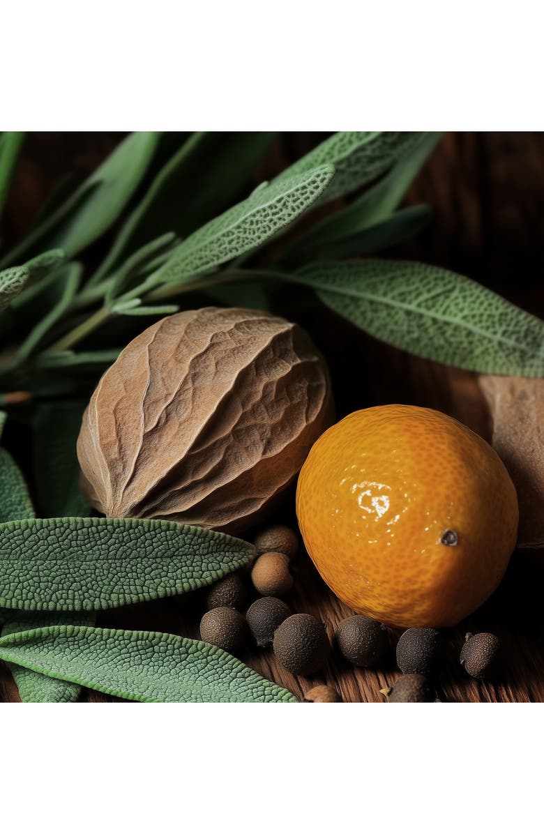 House of Sillage The Formal Parfum, Alternate, color, 