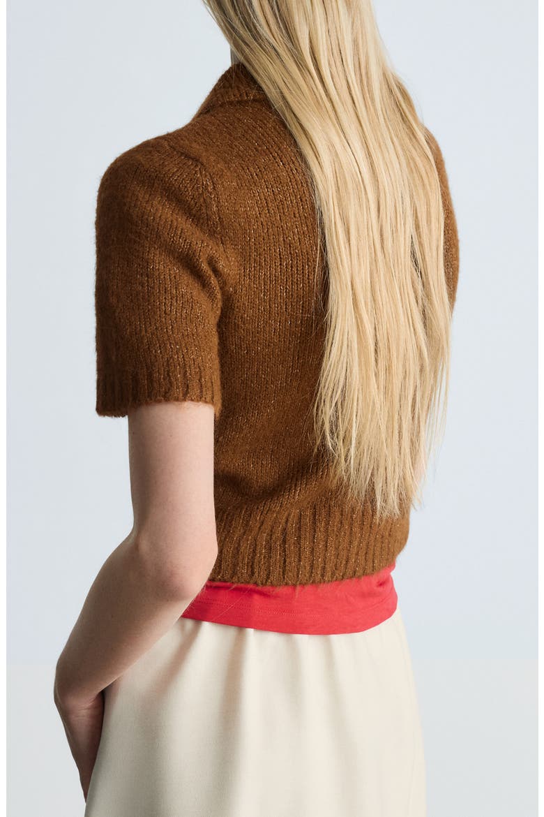 Crop Polo Sweater, Alternate, color, BROWN