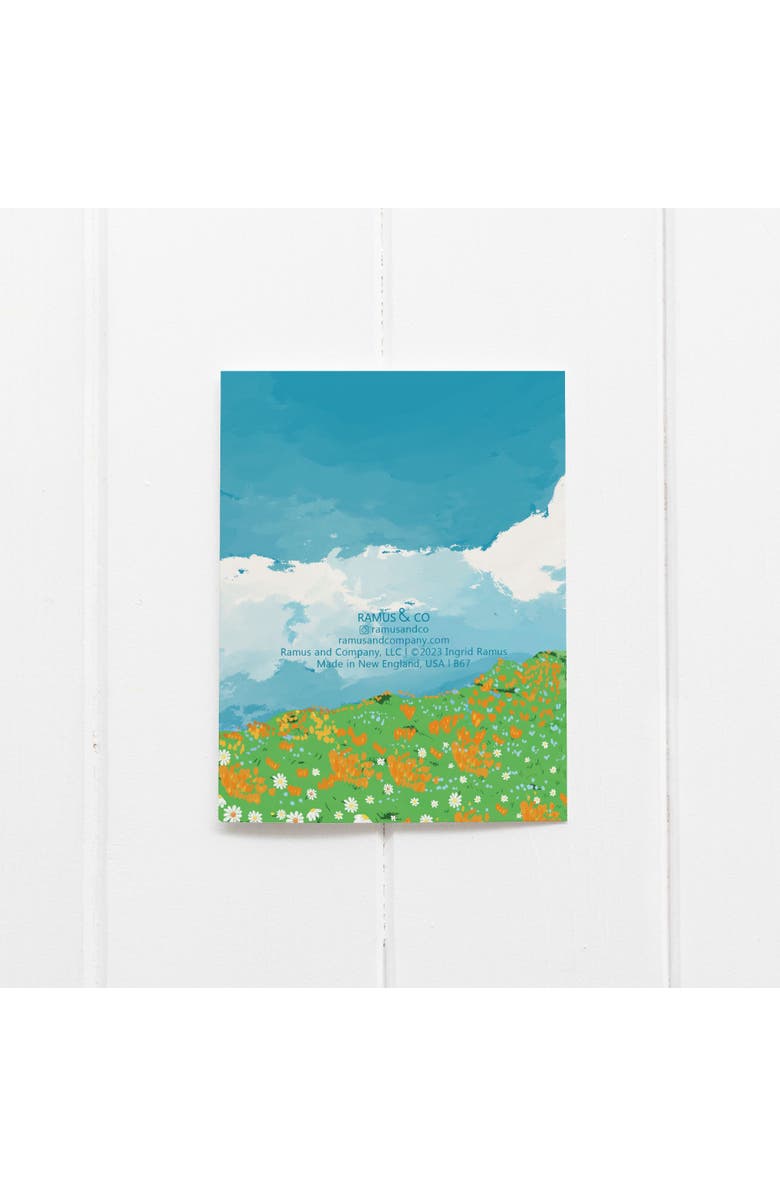 Ramus & Co Birthday Greeting Card Pack (3ct) "Wild and Beautiful Birthday", Alternate, color, Multi-Pack