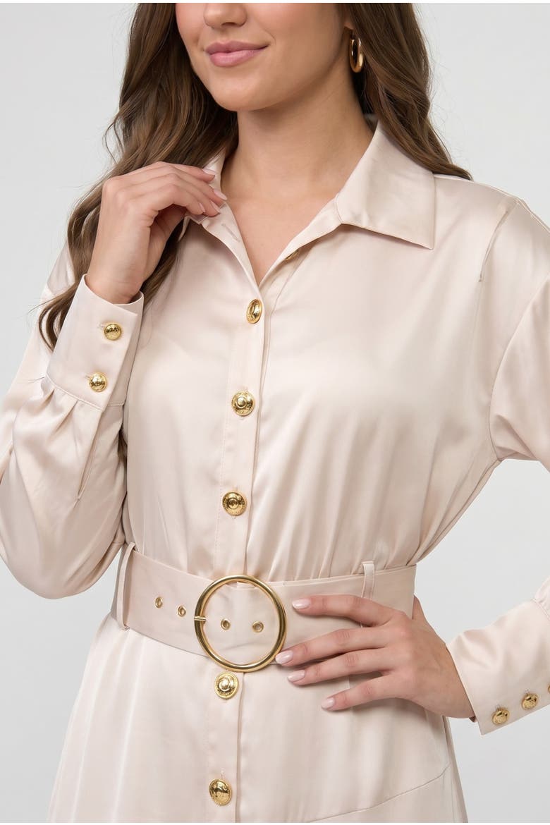 Gilian Long Sleeve Satin Shirt Dress, Alternate, color, Light Silver Grey