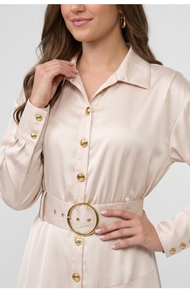 RACHEL Rachel Roy Gilian Long Sleeve Satin Shirt Dress, Alternate, color, Light Silver Grey