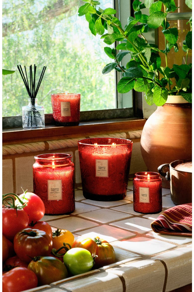 Tomato Trellis Three-Wick Hearth Candle, Alternate, color, TOMATO TRELLIS