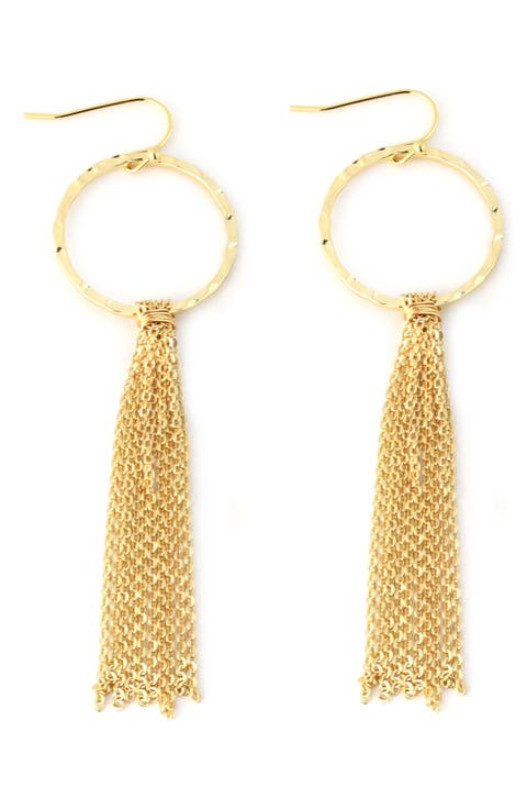 Circle Tassel French Wire Earrings