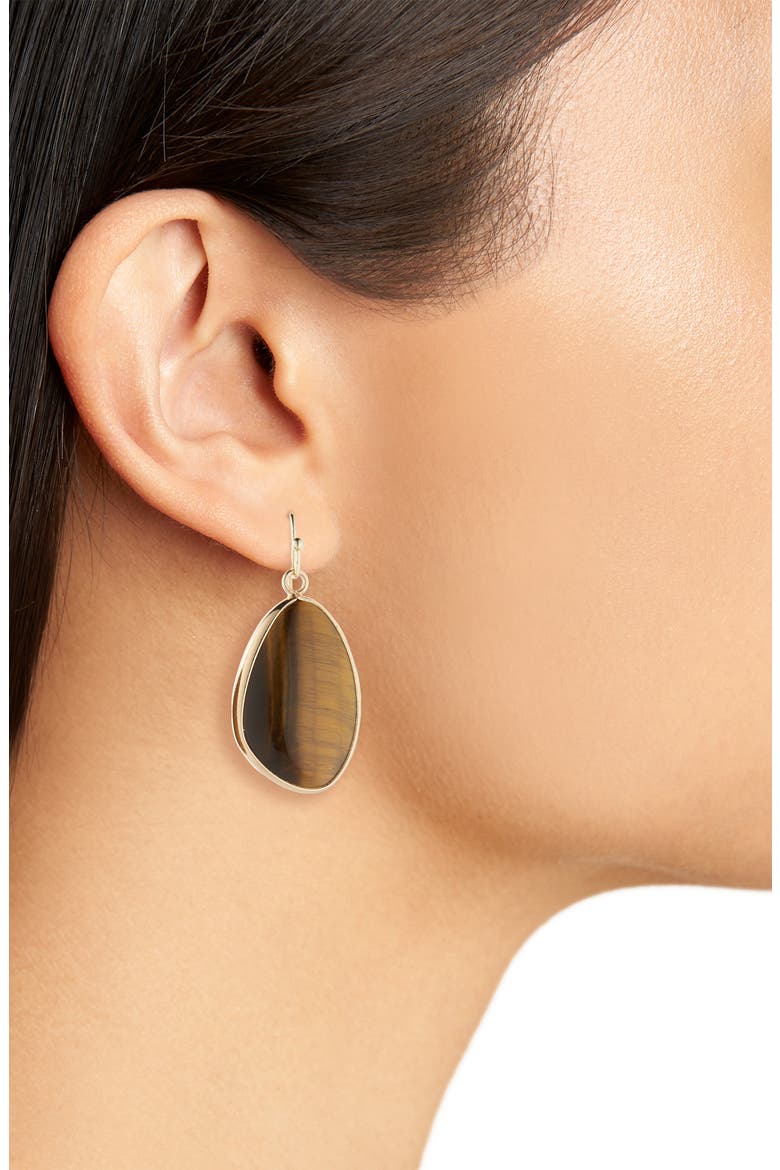 Circle Stone Drop Earrings, Alternate, color, TIGER EYE