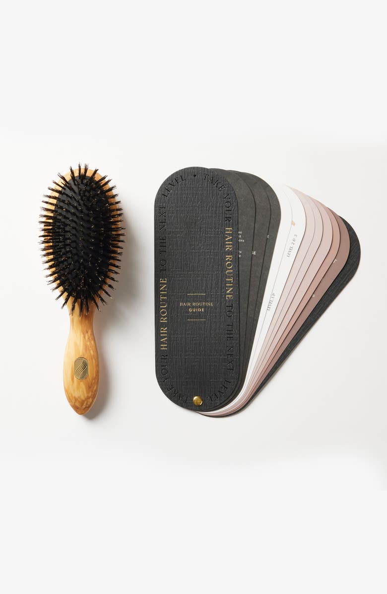 Altesse Studio Repair and Shine Brush - Thick Or Curly, Alternate, color, NO COLOR