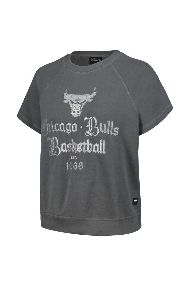 Women's The Wild Collective Gray Chicago Bulls Embroidered Fleece Raglan Short Sleeve Pullover Sweatshirt, Alternate, color, Gray