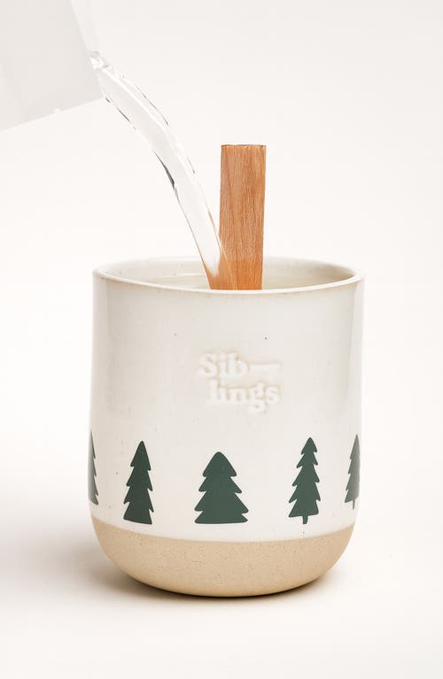 Siblings Winter Clean Candle Starter Set In Gray