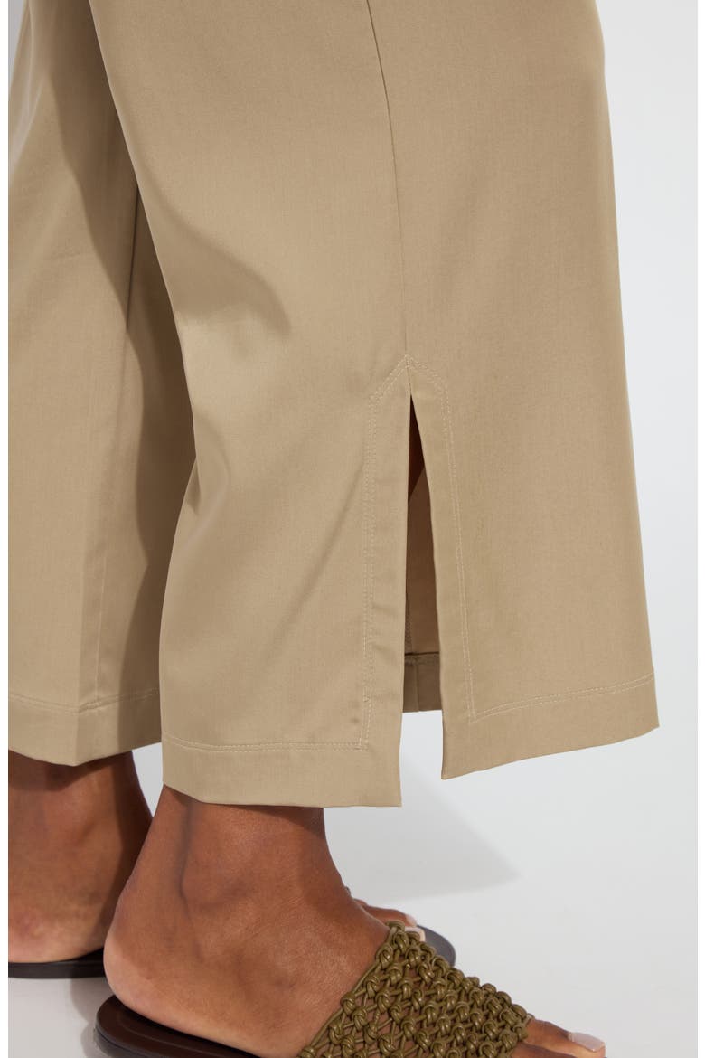 Zena Drawstring Ankle Wide Leg Pants, Alternate, color, SANDSTONE