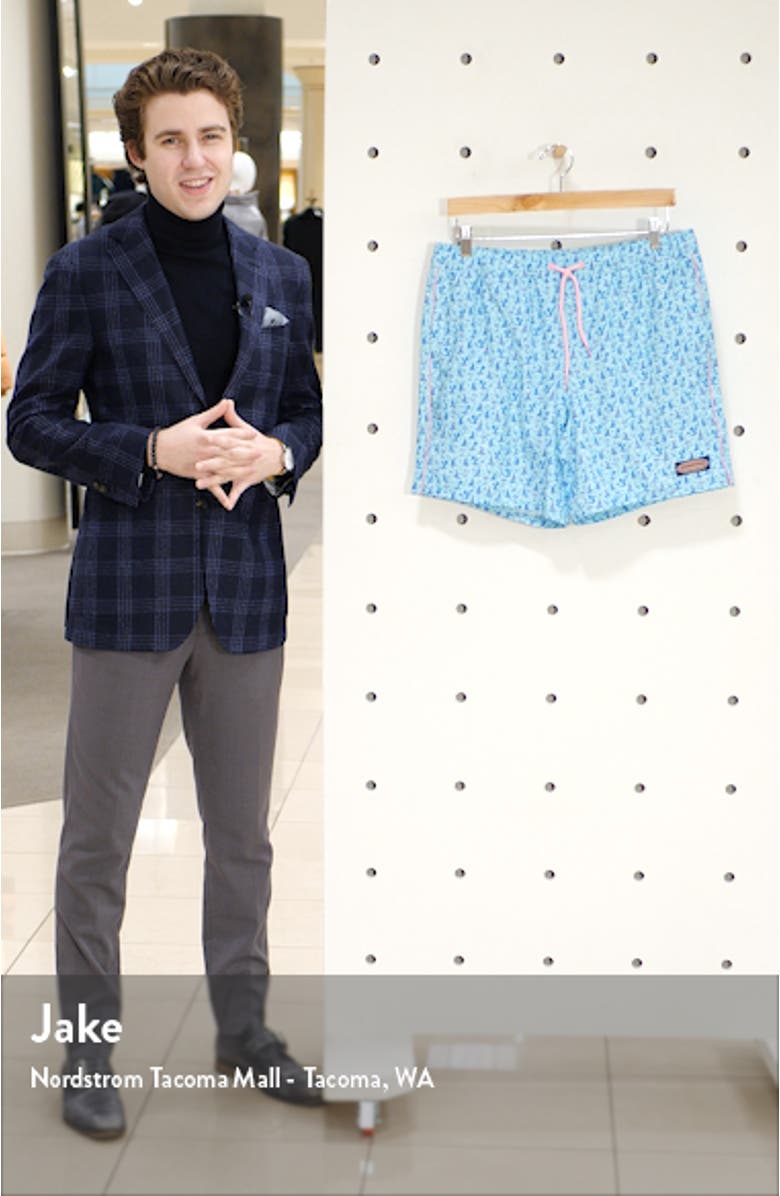 Chappy Swim Trunks, sales video thumbnail