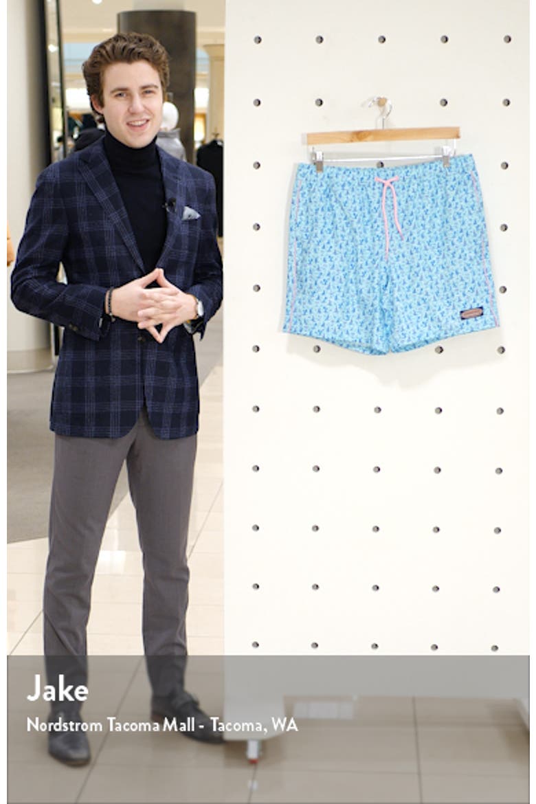Chappy Swim Trunks video