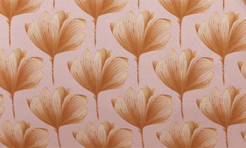 Sferra Edna Reversible Cotton Duvet Cover In Pink/orange