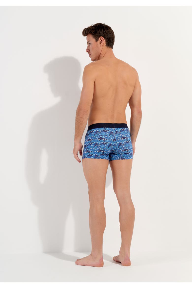 Vibe Boxer Briefs Ho1, Alternate, color, Blue Print