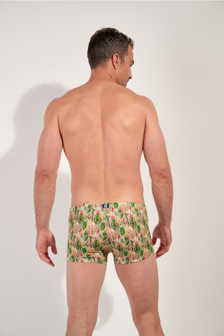 Taormina Swim Shorts, Alternate, color, Green Print